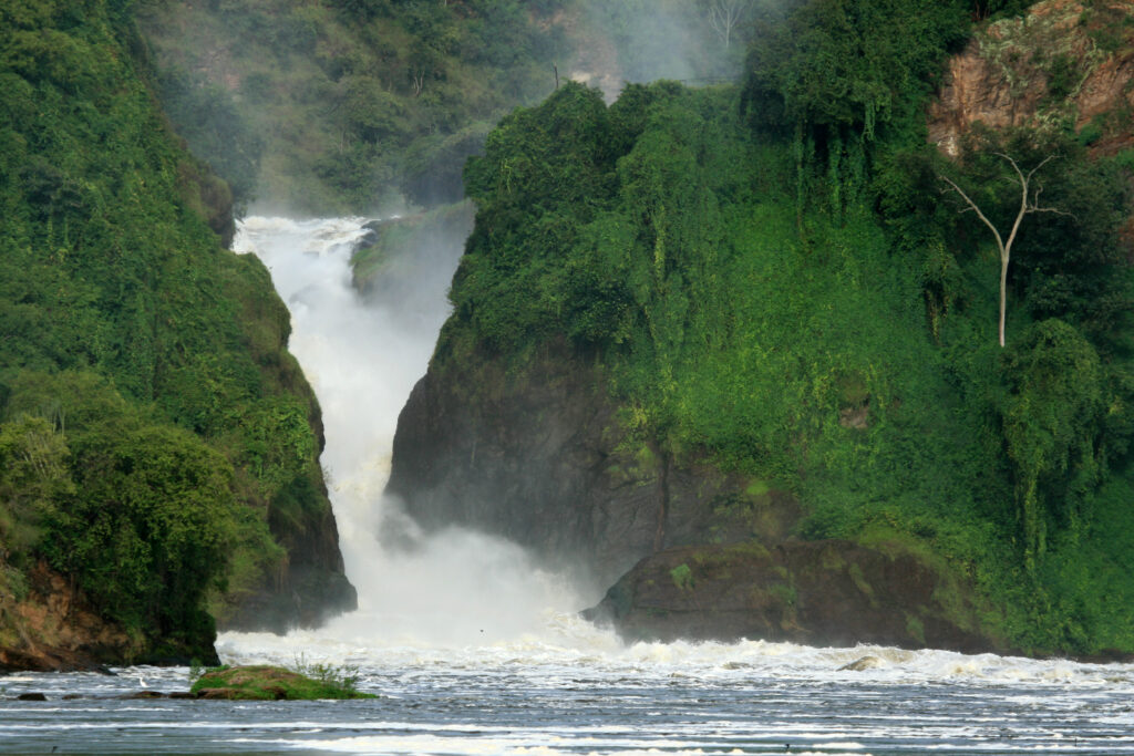 Murchison Falls National Park Safari Reserve in Uganda - The Pearl of Africa